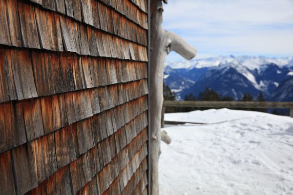 Cedar Siding Repair in Utica