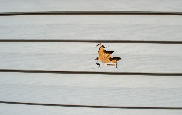 Siding Hole Repair in Utica