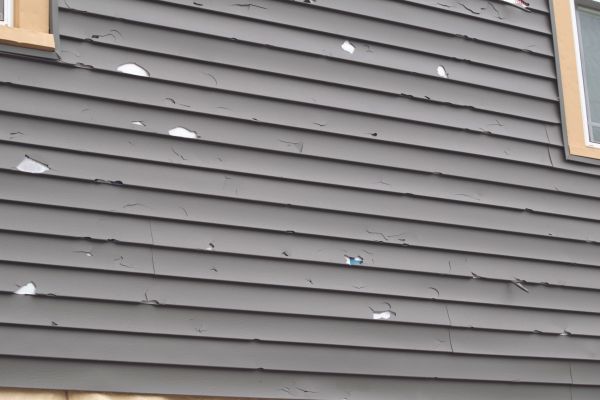 Damaged Siding Replacement in Utica